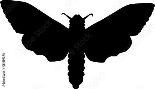 Insects silhouette vector art black and white