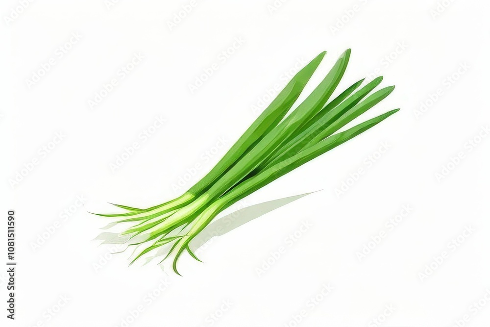the AI Image Generator, Fresh green onions isolated the AI Image Generator, Fresh green onions isolated