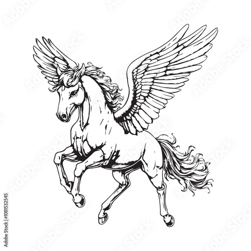 Magical Pegasus mythological winged horse Black and white vector isolated on white background.