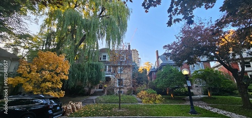 Photography autumn in the city Toronto