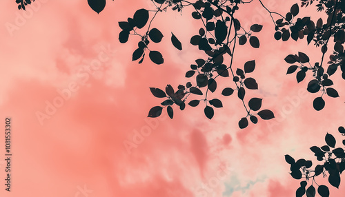 Tree silhouette branch on pink sky 