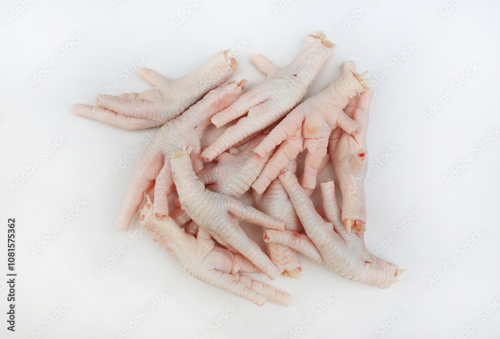 Raw chicken feet isolated on white background. Top view. Raw chicken feet isolated on white background. Top view.