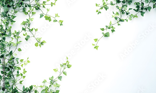 modern 2D doodle cartoon flower concept with open space for text, featuring whimsical floral and leafy elements on crisp white backgrounds.