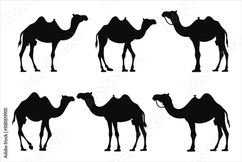 Set of camels silhouettes collection, camel, desert, silhouette, sunset, animal, sun, vector, sand, illustration, safari, nature, egypt, travel, sky, camels, landscape, sahara, mammal, animals, giraff
