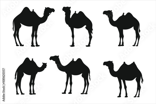 Set of camels silhouettes collection, camel, desert, silhouette, sunset, animal, sun, vector, sand, illustration, safari, nature, egypt, travel, sky, camels, landscape, sahara, mammal, animals, giraff