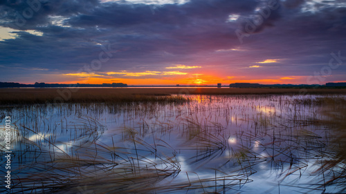 Serene Sunset Over a Vast Wetland with Reflections