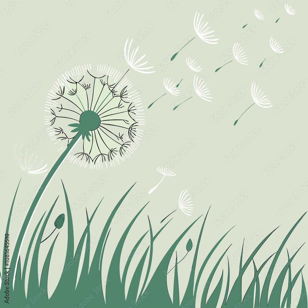 Fototapeta premium dandelion on the grass