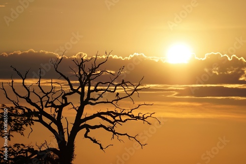 Sunset over cloud 