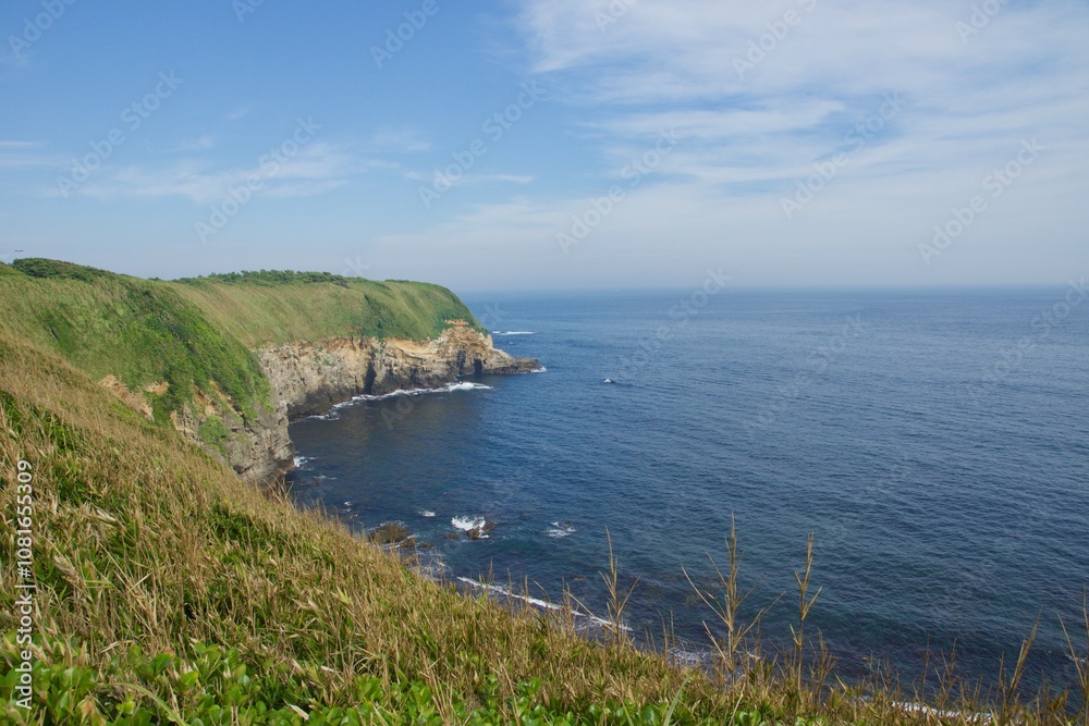 城ヶ島公園の夏の風景 城ヶ島公園の夏の風景