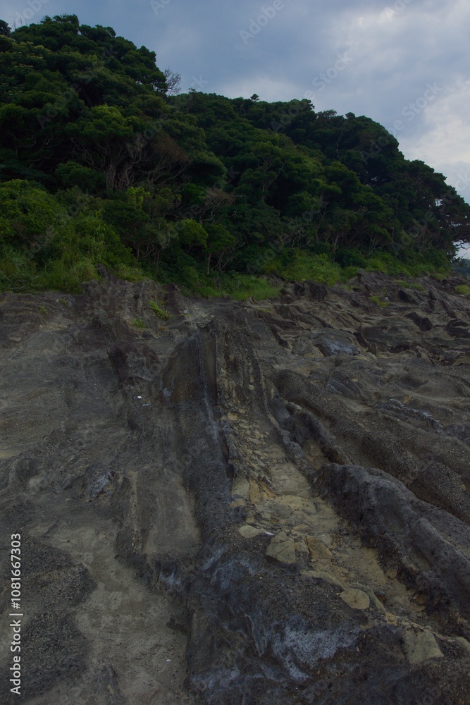 Obraz premium 城ヶ島公園 夏の風景
