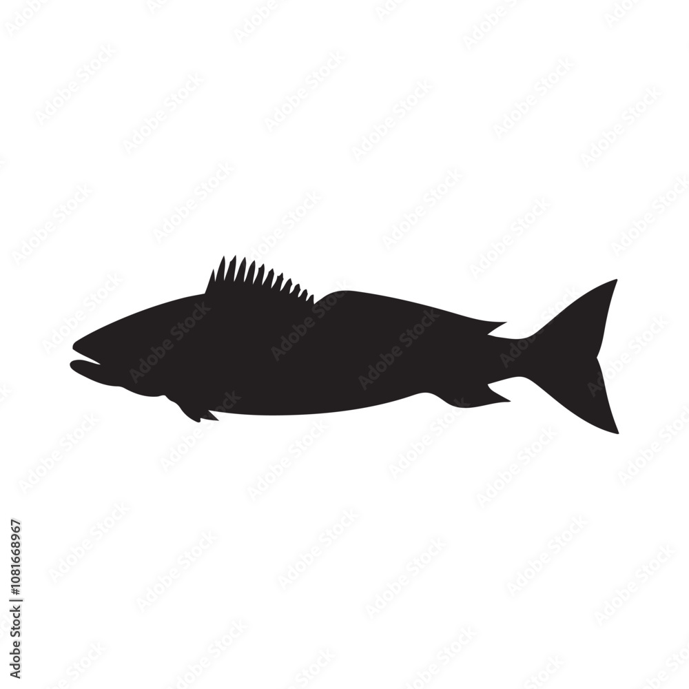 Cod fish silhouette vector illustration, Cod vector isolated on white background Cod fish silhouette vector illustration, Cod vector isolated on white background