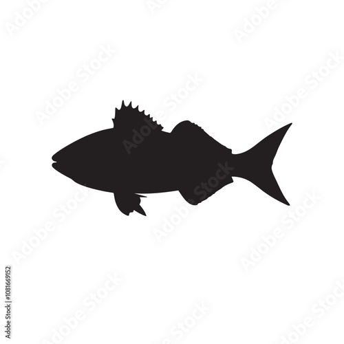 Cod fish silhouette vector illustration, Cod vector isolated on white background