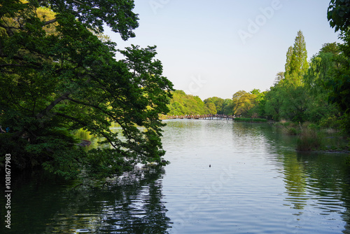 井の頭恩賜公園 photo