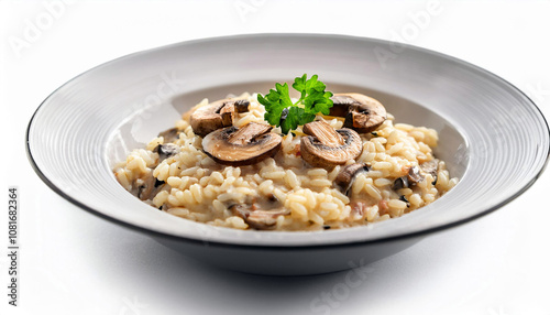 Creamy Mushroom Risotto in a White Bowl