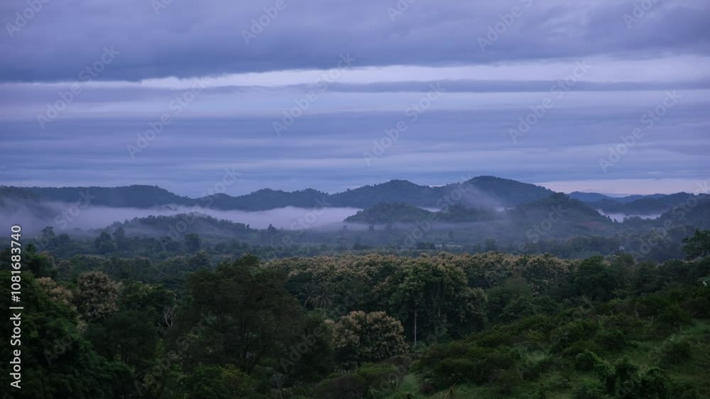 Greenery rainforest and hills on foggy day before sunrise Greenery rainforest and hills on foggy day before sunrise