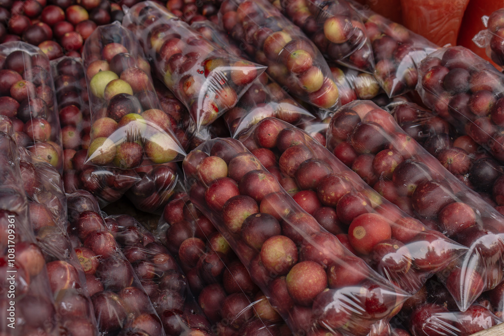 CAMU CAMU, AMAZONIAN FRUIT THAT GROWS ON THE BANKS OF RIVERS, DELICIOUS RED FRUIT KNOWN AS CAMU CAMU, DELICIOUS IN ICE CREAMS AND DESSERTS CAMU CAMU, AMAZONIAN FRUIT THAT GROWS ON THE BANKS OF RIVERS, DELICIOUS RED FRUIT KNOWN AS CAMU CAMU, DELICIOUS IN ICE CREAMS AND DESSERTS