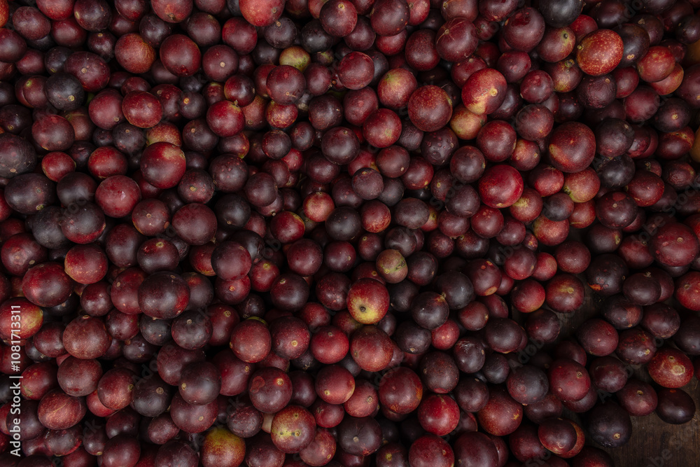 CAMU CAMU, AMAZONIAN FRUIT THAT GROWS ON THE BANKS OF RIVERS, DELICIOUS RED FRUIT KNOWN AS CAMU CAMU, DELICIOUS IN ICE CREAMS AND DESSERTS CAMU CAMU, AMAZONIAN FRUIT THAT GROWS ON THE BANKS OF RIVERS, DELICIOUS RED FRUIT KNOWN AS CAMU CAMU, DELICIOUS IN ICE CREAMS AND DESSERTS