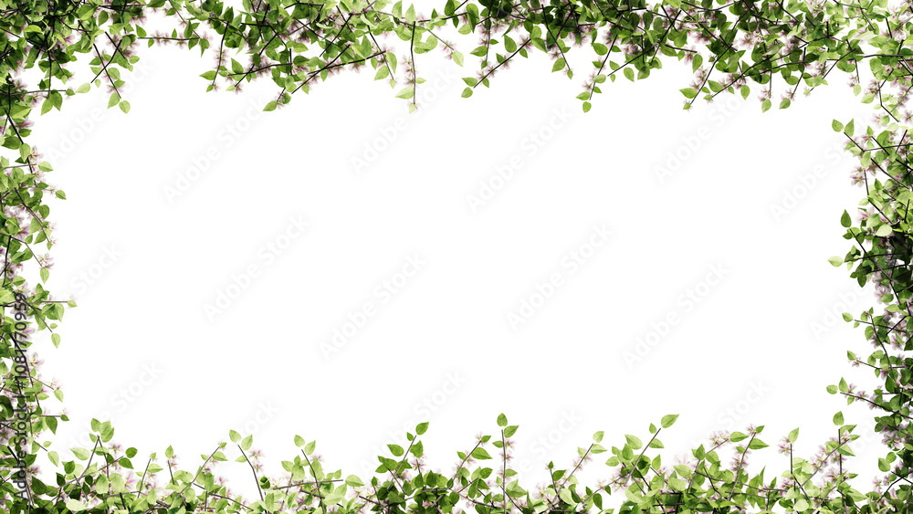 Fresh green leaves and flower frame isolated with transparent background Fresh green leaves and flower frame isolated with transparent background