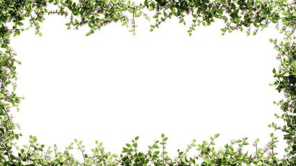 Fresh green leaves and flower frame isolated with transparent background