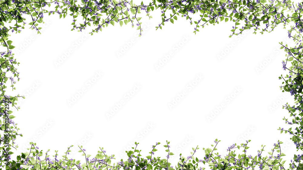 Fresh green leaves and flower frame isolated with transparent background Fresh green leaves and flower frame isolated with transparent background