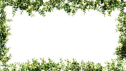 Fresh green leaves and flower frame isolated with transparent background