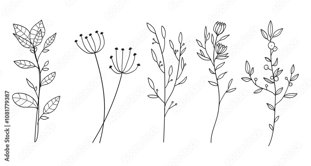 Hand drawn floral minimal elements in line art style. Greenery for decoration, wild and garden plants, branches, leaves. Vector