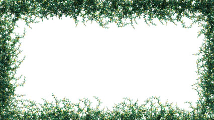Fresh green leaves and flower frame isolated with transparent background