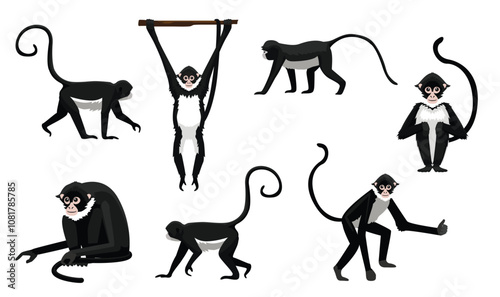 Spider Monkey Various Poses Cartoon Vector Character