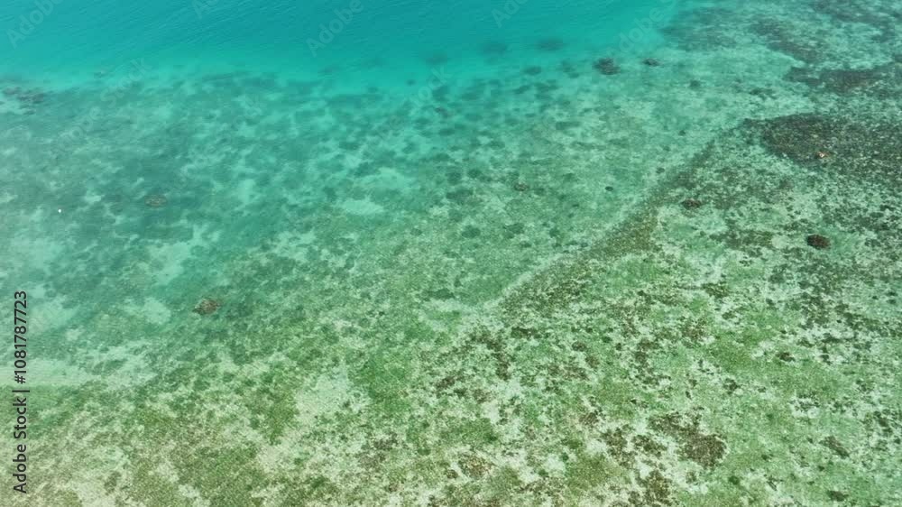 Aerial view of Sea and corals. Aerial drone shot of turquoise water - space for text. Siquijor, Philippines. Aerial view of Sea and corals. Aerial drone shot of turquoise water - space for text. Siquijor, Philippines.