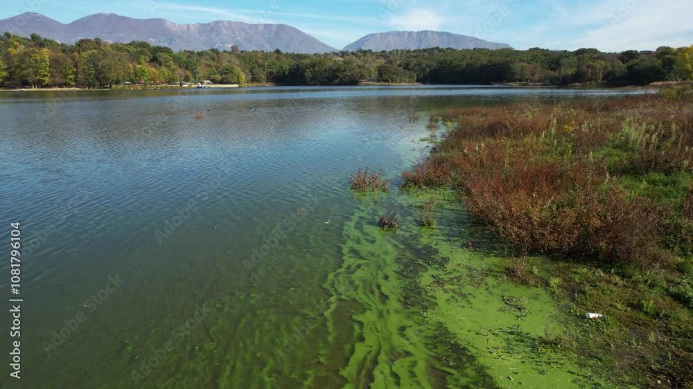 Polluted Waters Along the Shores of Tirana Artificial Lake Caused by Urban Waste Discharges