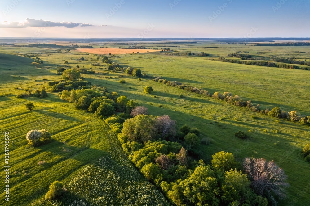 Aerial View of Lush Green Grass Field with Vibrant Plants and Natural Landscape Captured by Drone, Showcasing the Beauty of Nature and Freshness of Springtime Aerial View of Lush Green Grass Field with Vibrant Plants and Natural Landscape Captured by Drone, Showcasing the Beauty of Nature and Freshness of Springtime