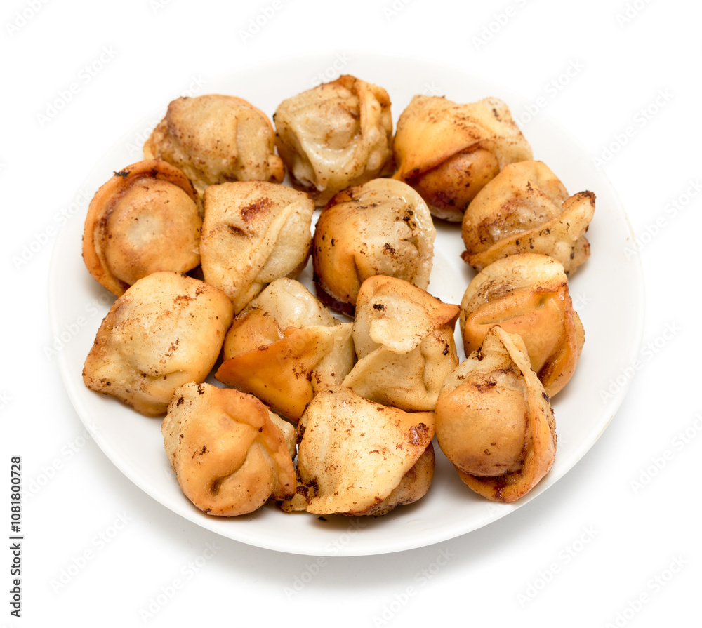 fried dumplings in a plate on a white background fried dumplings in a plate on a white background