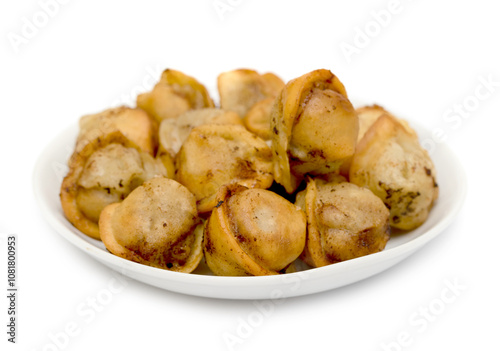 fried dumplings in a plate on a white background