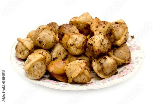 fried dumplings in a plate on a white background