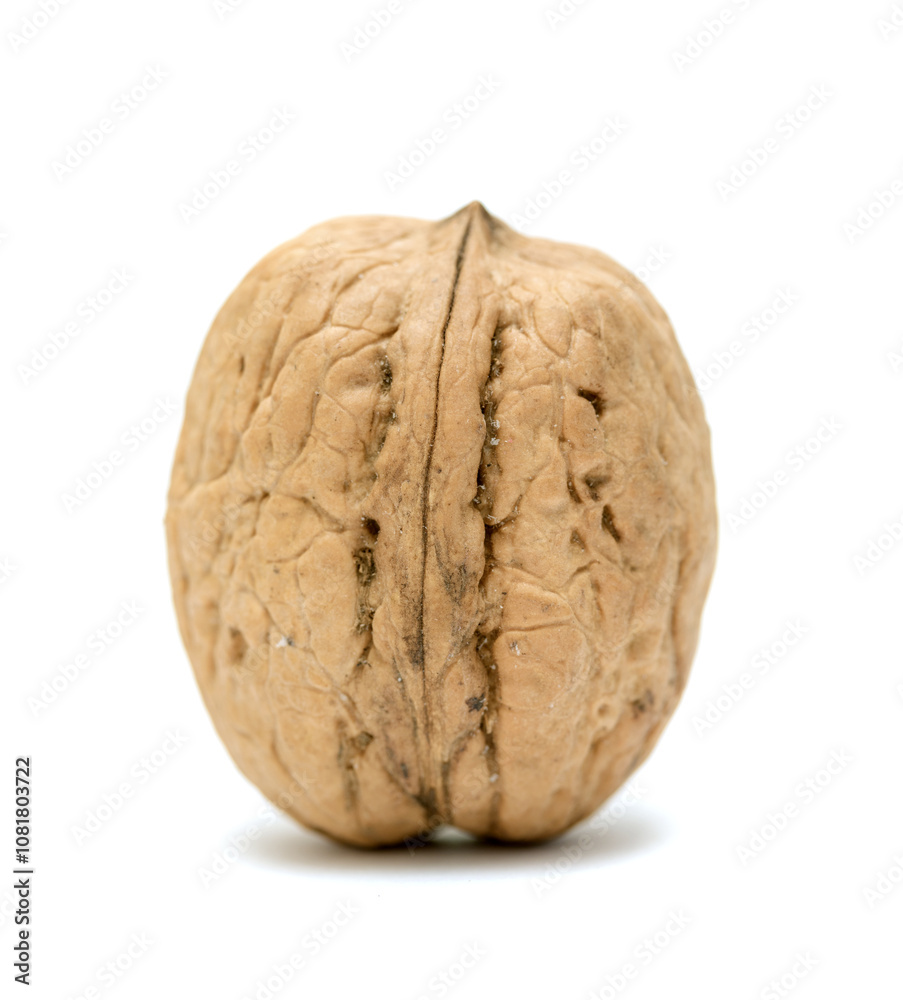 Walnut closeup on white Walnut closeup on white