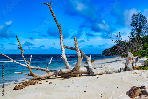 Anse Gaulettes, La Digue, Seychelles photo