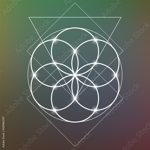 Sacred geometry flower of life vector illustration. Esoteric Energy Elements in Futuristic Design related to Tarot, Alchemy and Astrology