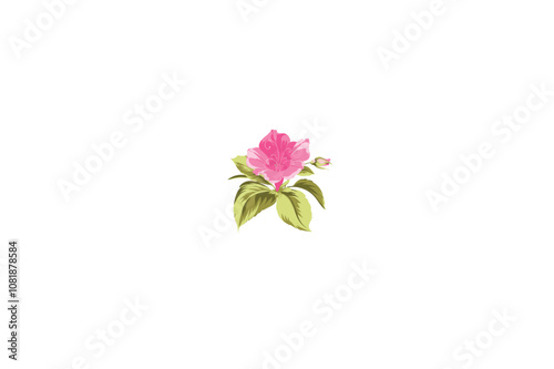 A Hibiscus Flower vector image made by adobe illustrator..eps