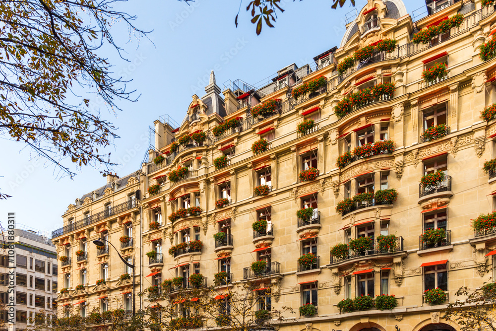 Fototapeta premium houses in the city
