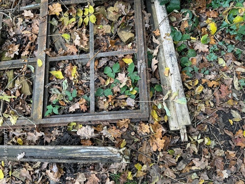 Wallpaper Mural Discarded rotting window frame lying in woodland setting Torontodigital.ca