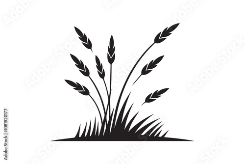 grass  vector silhouette isolated in white background