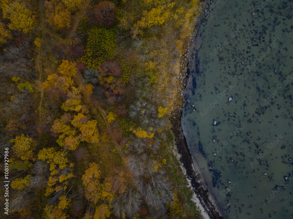 Aerial top down photo of shoreline of Paljassaare Peninsula in Tallinn, Estonia. On the left a dense forest displays a mix of autumn colors. On the right a rocky shoreline leading to clear waters. Aerial top down photo of shoreline of Paljassaare Peninsula in Tallinn, Estonia. On the left a dense forest displays a mix of autumn colors. On the right a rocky shoreline leading to clear waters.