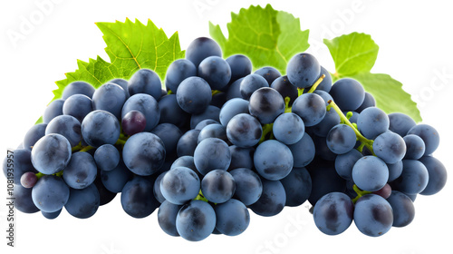 vibrant cluster of blue grapes with green leaves, fresh and organic, rich in antioxidants, healthy and delicious summer fruit, perfect for a nutritious lifestyle photo