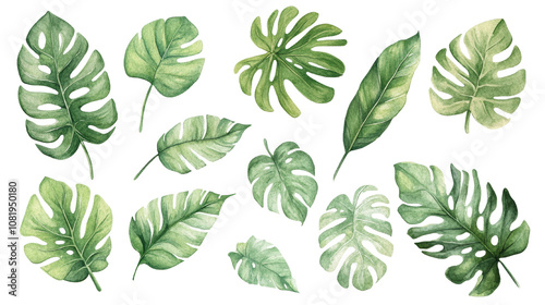 Watercolor Tropical Leaves Collection