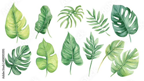 Watercolor Tropical Leaf Set   Jungle Foliage  Green Monstera  Palm Leaves  Exotic Plants 