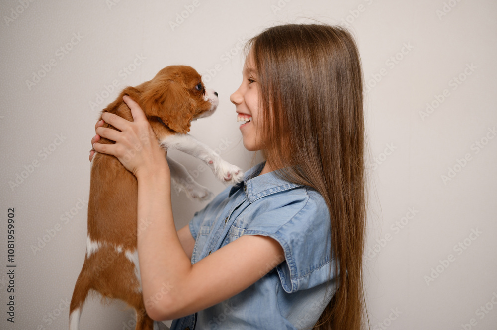 Girl hugging her beloved dog, cute cavalier king charles spaniel puppy, indoors. Shelter pet. Concept of love, care, pet care, love for animal Girl hugging her beloved dog, cute cavalier king charles spaniel puppy, indoors. Shelter pet. Concept of love, care, pet care, love for animal
