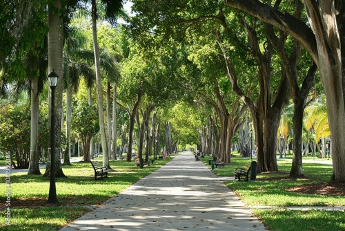 A paved path through a lush, green tree canopy.