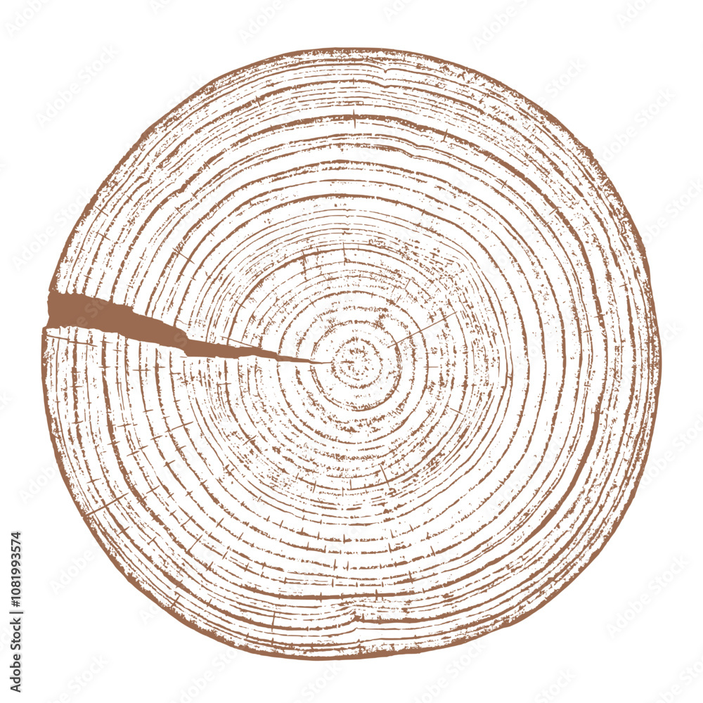 Tree wood texture. Wooden old trunk. Cut timber log. Abstract rings nature pattern. Brown circle stump. Wood cross section. Tree wood texture. Wooden old trunk. Cut timber log. Abstract rings nature pattern. Brown circle stump. Wood cross section.