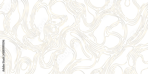 Vector gold line wood texture illustration, organic shape wave pattern, abstract luxury tree graphic, trunk circles, topography map background