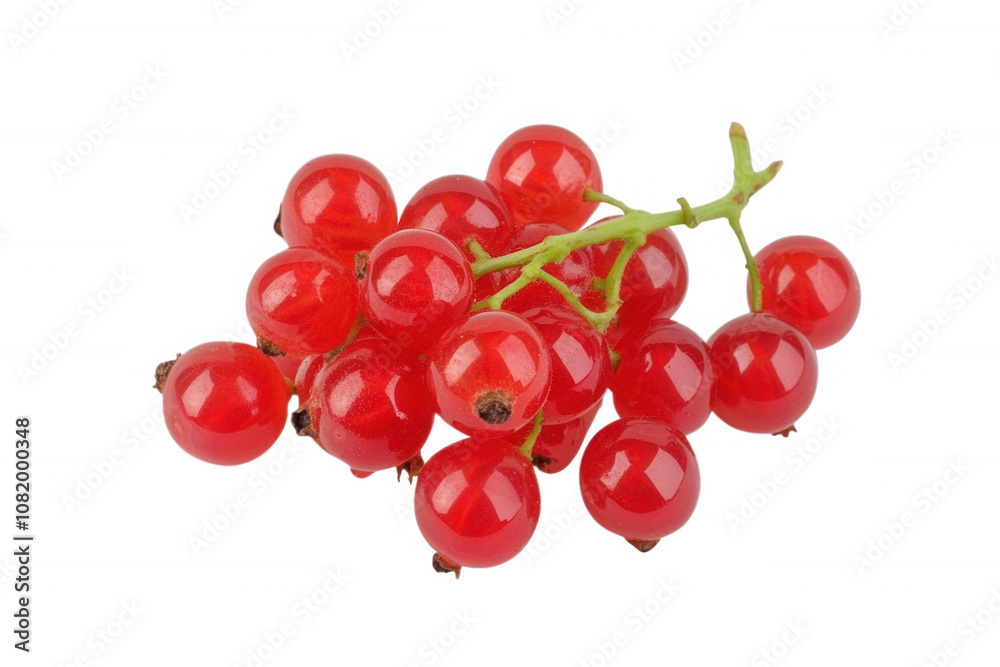 Fresh red currants, transparent background Fresh red currants, transparent background